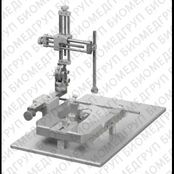 Стереотаксическая система для мышей с одним манипулятором и фиксатором 60, SGL M, RWD, Китай, 68043