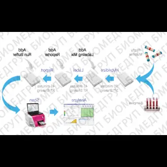 Панель для профилирования миРНК, Multiplex miRNA Assay Immunology Panel  Circulating, Abcam, ab204064, 96 тестов