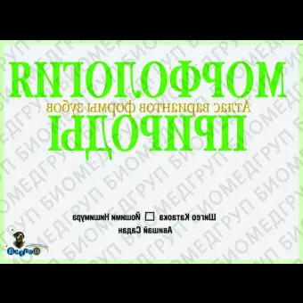 Морфология природы. Атлас вариантов формы зубов / Ш. Катаока