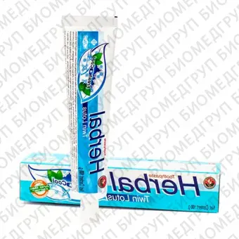 Twin Lotus Herbal FreshCool зубная паста с травами, 100 г