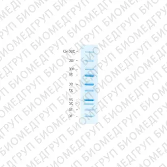 Окрашенные маркеры молекулярной массы белков Precision Plus Protein All Blue, 10250 кДа1 х 500 мкл