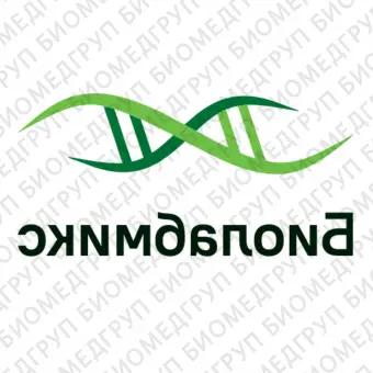 Мастермикс БиоМастер HSqPCR HiROX SYBR 2 для проведения ПЦР в реальном времени с интеркалирующим красителем SYBR Green I и референсным красителем ROX в высокой концентрации2040 реакций