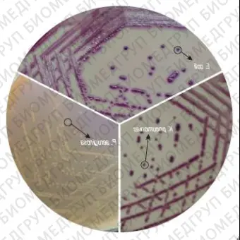 Агар HiCrome ECC для дифференциации E.coli и колиформных бактерий 500 г ФСЗ 2009/03705