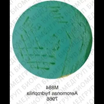 Основа среды для выделения аэромонад, 500г ФСЗ 2009/03709
