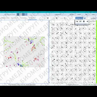 Спермоанализатор на базе ПО для компьютерного анализа эякулята, АргусCASA, АргусСофт, ARGUS  CASA 4