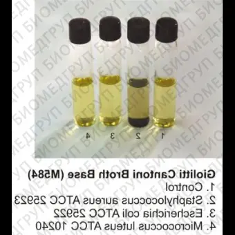 Основа бульона ЖиолиоттиКантони 500 г ФСЗ 2009/03706