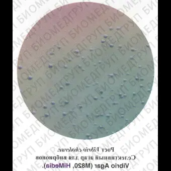Агар селективный для вибрионов, 500г ФСЗ 2009/03709