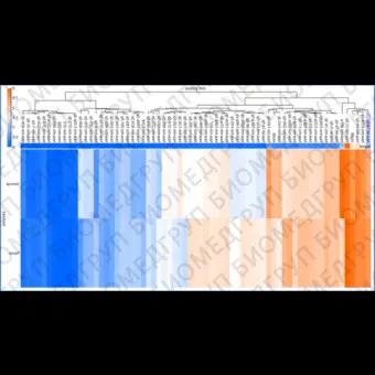 Панель для профилирования миРНК, Multiplex miRNA Assay Neurology Panel  Circulating, Abcam, ab204066, 96 тестов