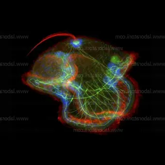 Микроскоп Axio Imager 2 для биологии