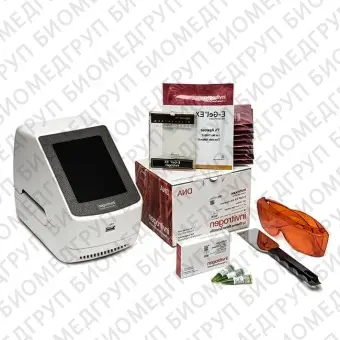 Электрофорезная горизонтальная система EGel Power Snap Electrophoresis System Starter Kit, EX 1, Thermo FS, G8341ST