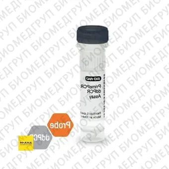 Набор ERBB2 CNV PrimePCR ddPCR, 200 реакций, BioRad, 1863306