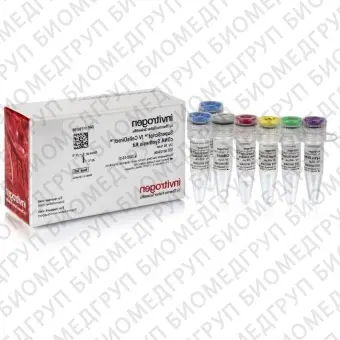 Набор для прямого синтеза кДНК SuperScript IV CellsDirect cDNA Synthesis Kit из лизата клеток млекопитающих без предварительного выделения РНК, Thermo FS, 11750350, 500 реакций