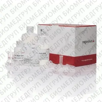Набор PureLink Total RNA Blood Kit, Thermo FS, K156001, 50 выделений