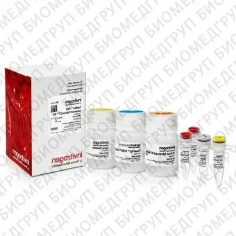 Набор для прямого анализа экспрессии генов TaqMan Fast Advanced CellstoCT Kit из культивируемых клеток без предварительного выделения РНК, Thermo FS, A35378, 400 реакций