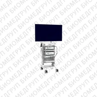Эндоскопическая стойка для флуоресцентной визуализации 214K