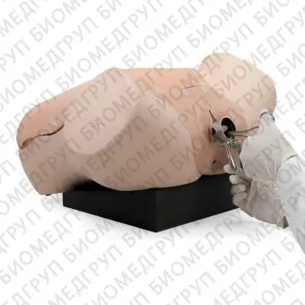 Учебный манекен для оказания гинекологических услуг P91