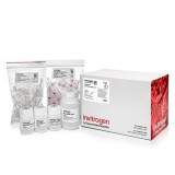 Набор PureLink PCR Purification Kit, Thermo FS, K310002, 250 выделений