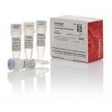 ДНК-полимераза Platinum SuperFi DNA Polymerase, Thermo FS, 12351250, 5х500 единиц