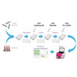 Панель для профилирования ми-РНК, Multiplex miRNA Assay Immunology Panel - Circulating, Abcam, ab204064, 96 тестов