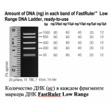 Маркер длин ДНК, FastRuler Low Range, 5 фрагментов от 50 до 1500 п.н., готовый к применению, Thermo FS, SM1103, 2х500 мкл