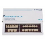 Spofadent Plus (С3) 62-0/11-1/62