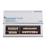 Spofadent Plus (А3) 1/22-0/0-1/72