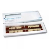 Spofadent Plus (В1) 52-0/5-1/60