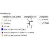 Стандарт N-гликанов AdvanceBio InstantAB Man6 / M6 (ранее ProZyme)