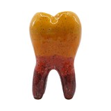 Декоративный зуб из керамики, большой, цветной