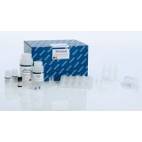 Набор QIAamp Circulating Nucleic Acid Kit для выделения свободно циркулирующих нуклеиновых кислот(50 реакций)