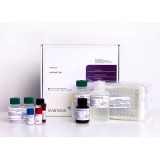 Набор реагентов SVANOVIR® BLV gp51-Ab Confirmation для обнаружения антител к лейкозу КРС методом ИФА (стрипованные планшеты)(2 планшета)